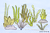 Doodle Stickdatei Unterwasserpflanzen